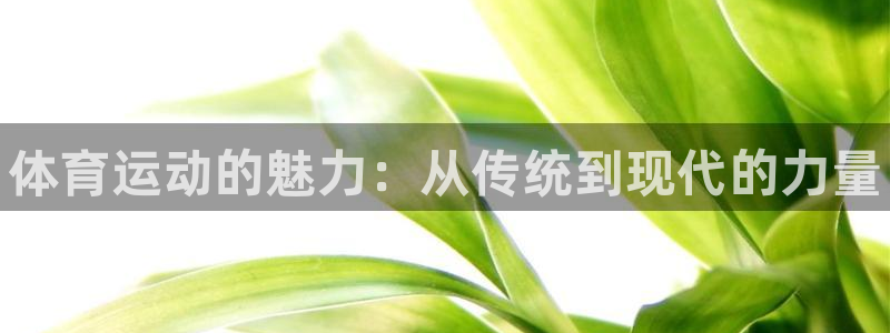 oety欧亿体育官网下载平台APP