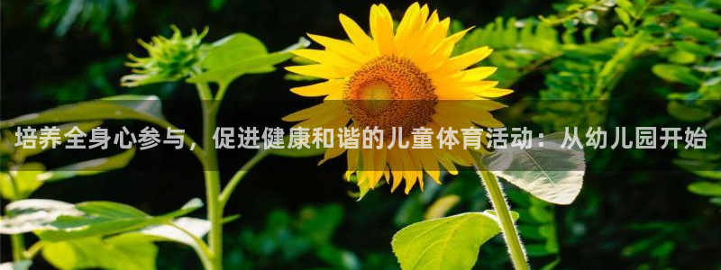 欧亿体育官方集团官网