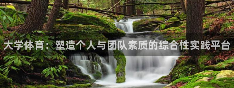 oety欧亿体育官网下载招商电话号码是多少啊：大学体育：塑造