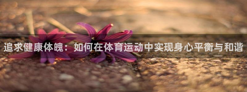 oety欧亿体育官网下载招商电话号码查询是多少：追求