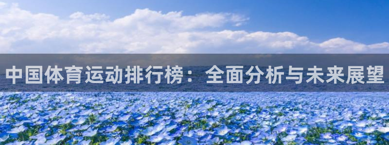 欧亿体育官方正版app官方：中国体育运动排行榜：全面