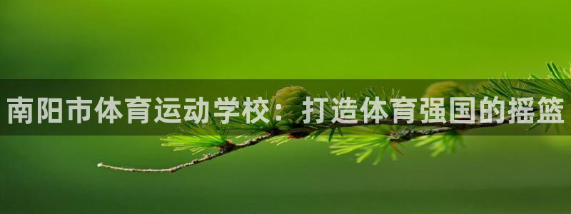 欧亿体育官方正版app娱乐首页官网下载：南阳市体育运