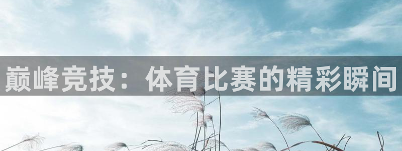 oety欧亿体育官网下载娱乐：巅峰竞技：体育比赛的精