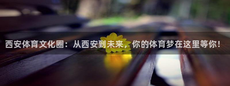 欧亿体育官方正版app娱乐平台：西安体育文化圈：从西