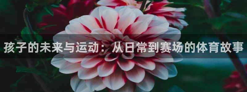 欧亿体育官方正版app代理：孩子的未来与运动：从日常到赛场的
