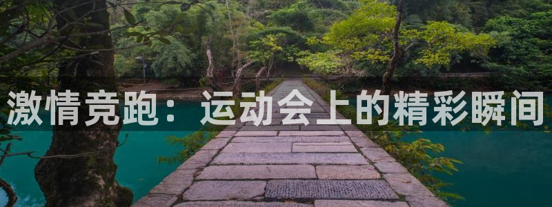 oety欧亿体育官网下载招商电话是多少：激情竞跑：运动会上的