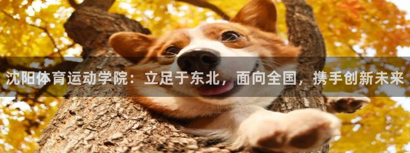 oety欧亿体育官网下载联系电话：沈阳体育运动学院：立足于东